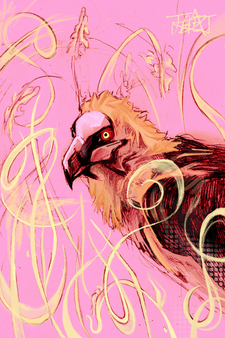 Illustration and Mixed Media